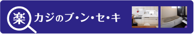 楽カジのブ・ン・セ・キ