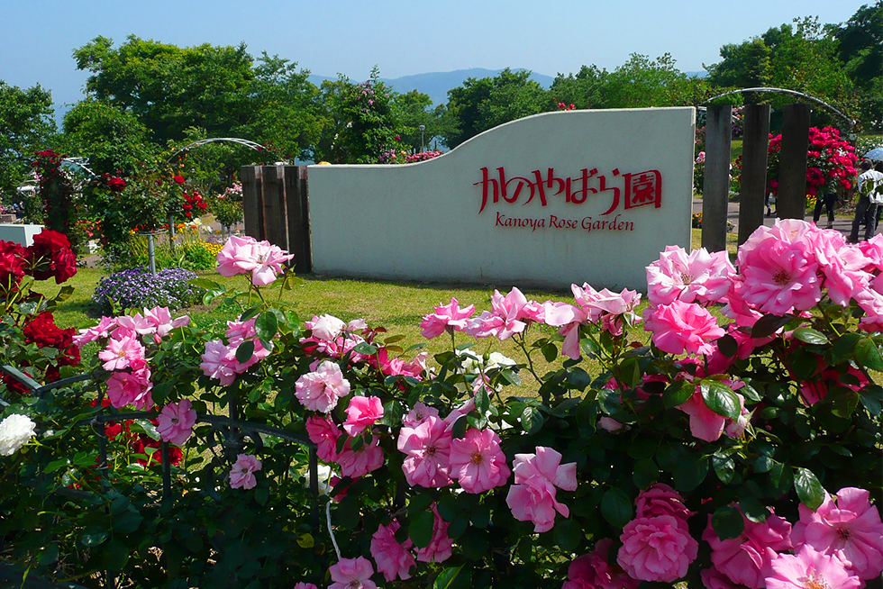 02-blog-yamaguchi2015101502