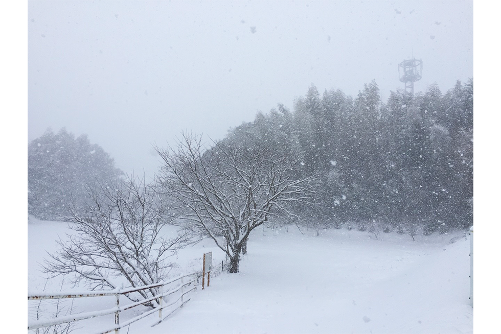 02-blog-nagayama2016020301