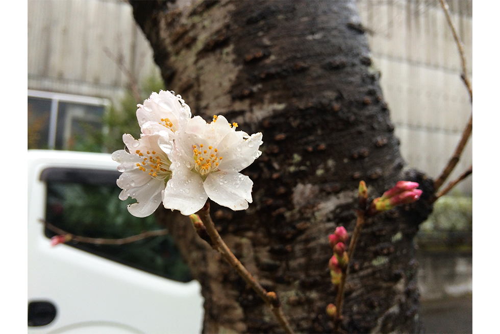 06-blog-maeda2016033102