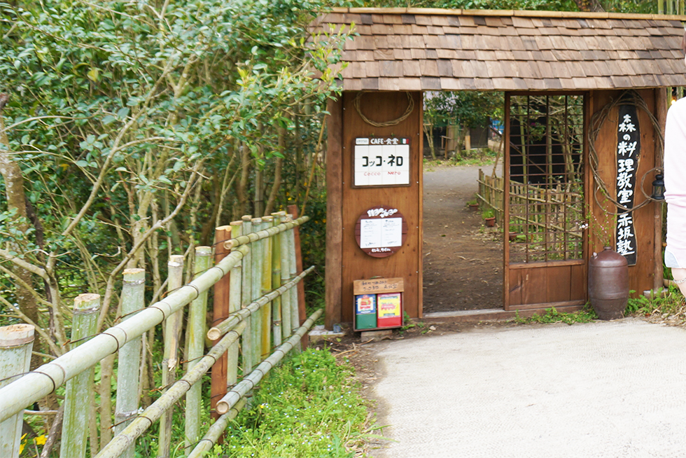 04-blog-hachisuga2016042001