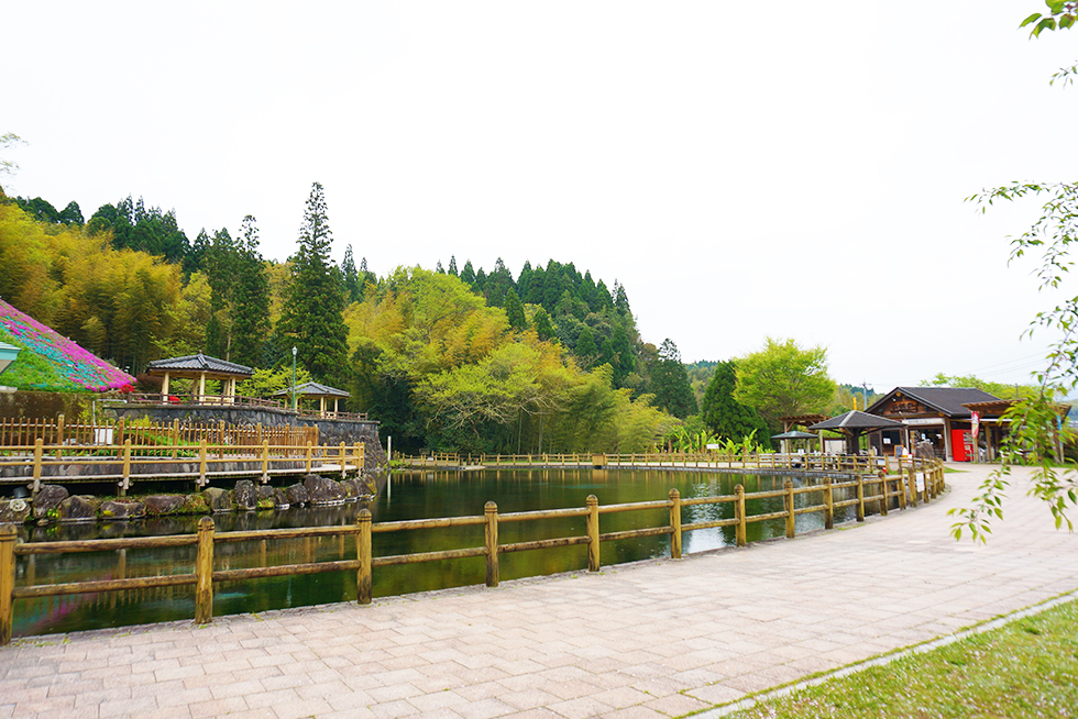 06-blog-hachisuga2016042001