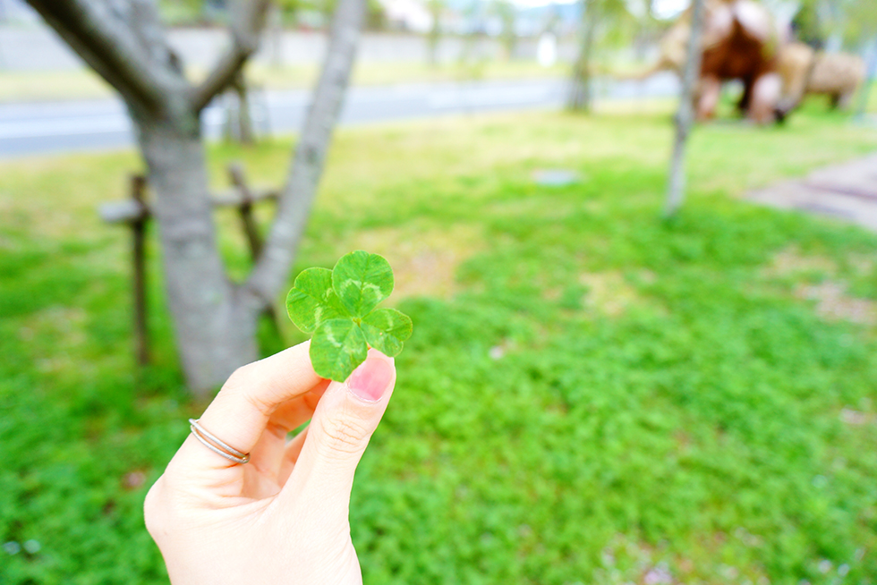 08-blog-hachisuga2016042001