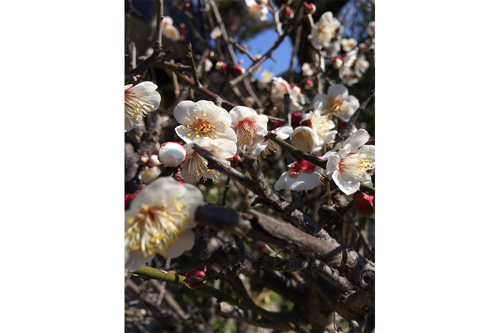 03-blog-maeda2016052201