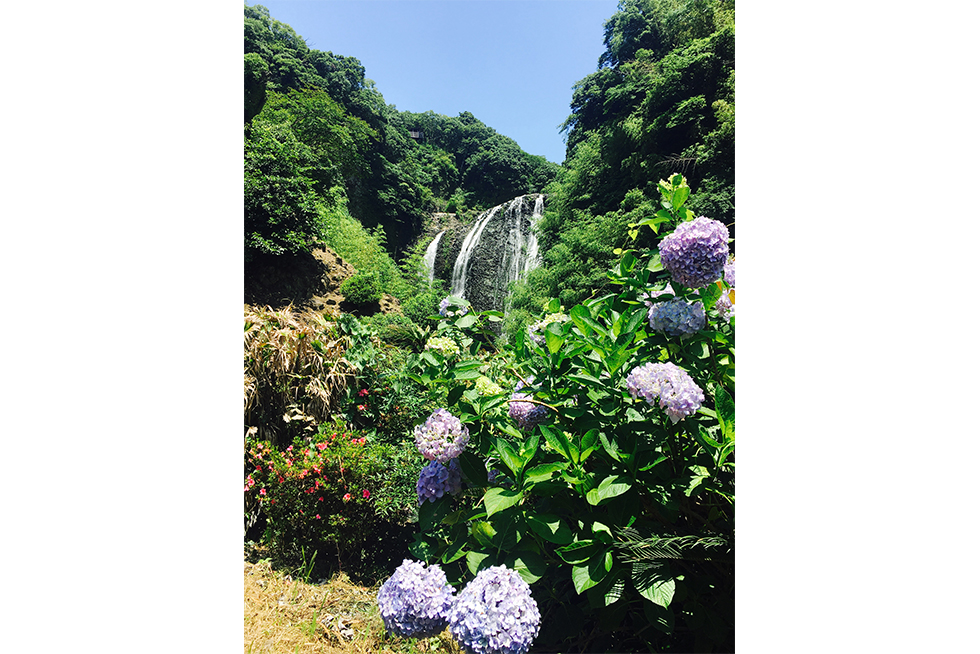03-blog-kawaguchi2016062101
