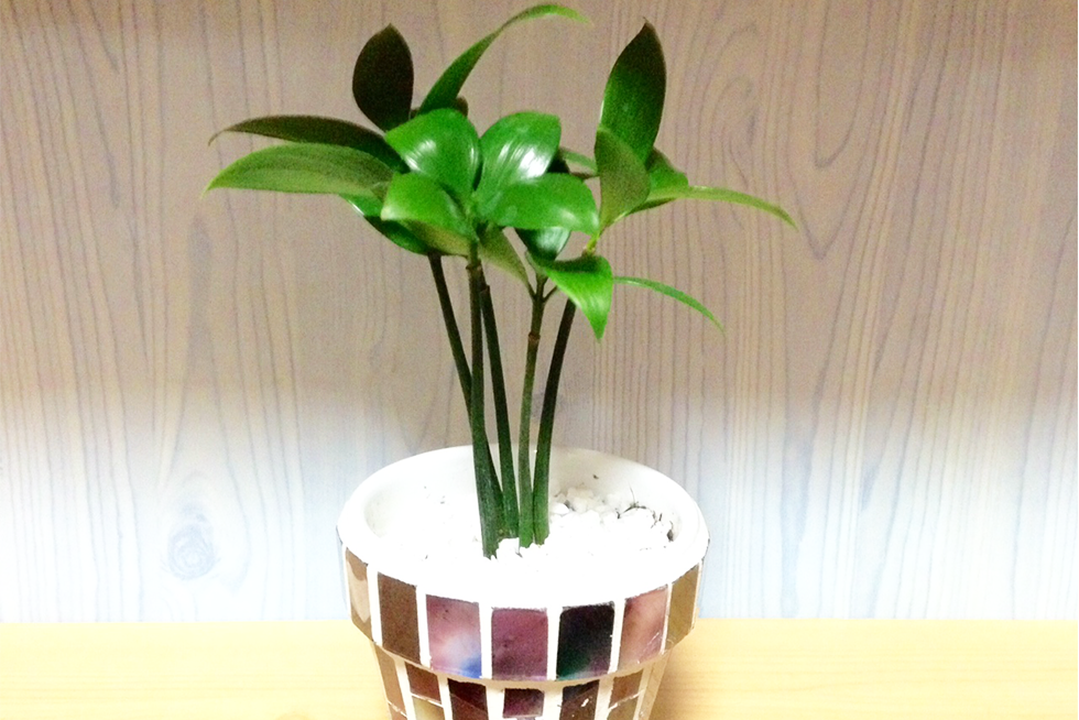 02-blog-sakamoto2016070602