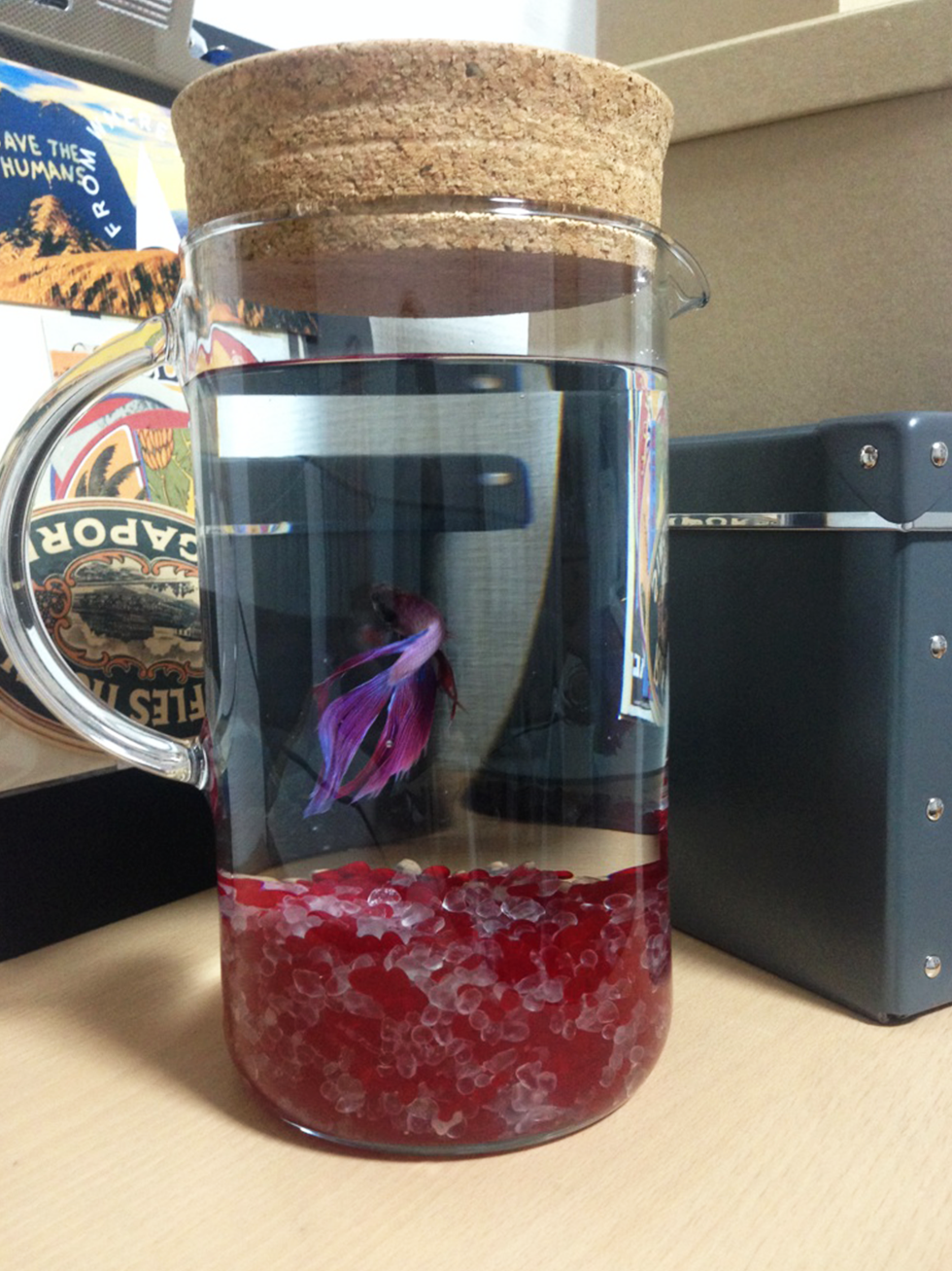 02-blog-andou2016081302