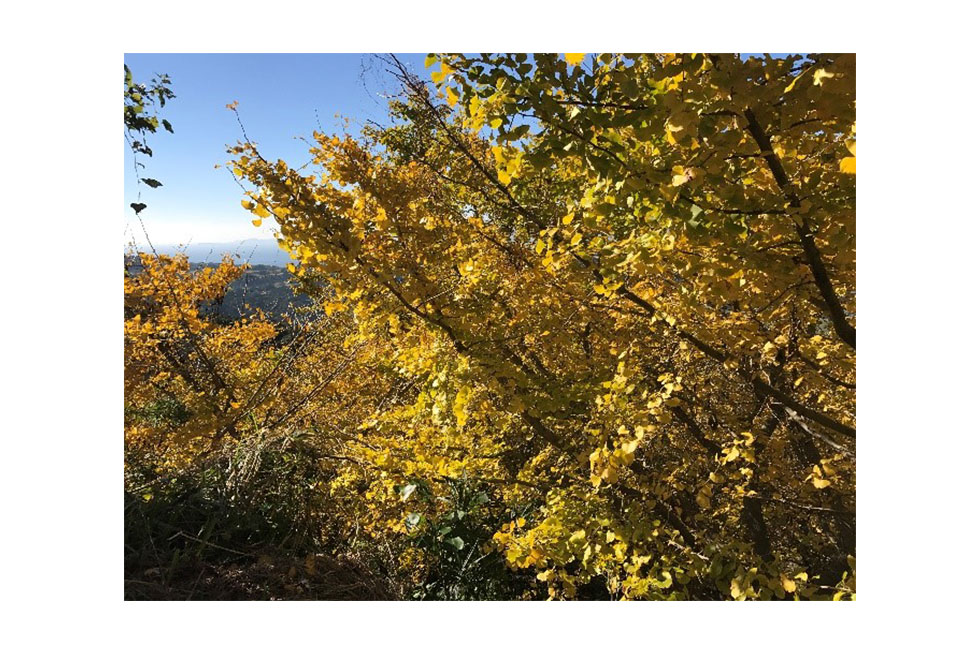 02-blog-maeda2016122202