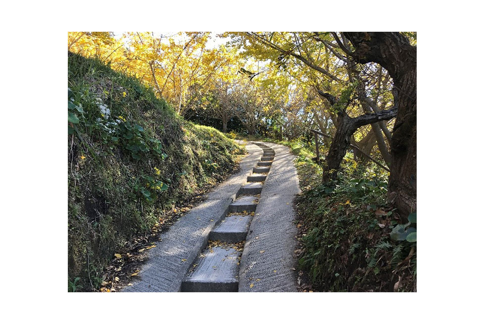 05-blog-maeda2016122202