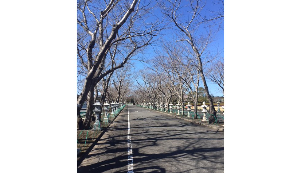 02-blog-iguchi2017020702